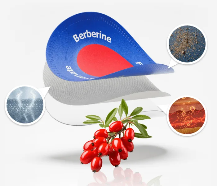 Purisaki Berberine Patch How It Works — Berberine Pomegranate Fucoxanthin Triple Botanical Complex